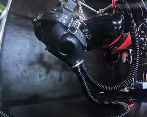 Heavy Rubber Hog Tied